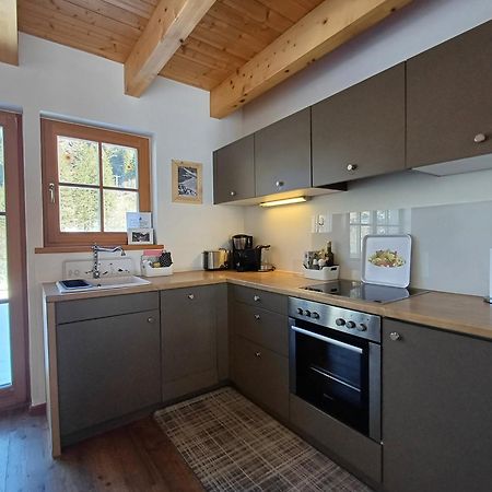 Tauerndorf Enzingerboden Ski In&Out - Steinbock Lodges Eksteriør bilde
